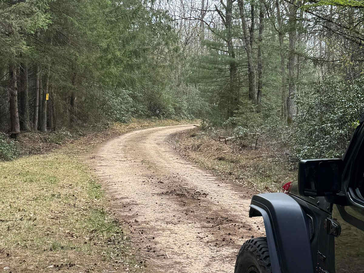 Sugar Camp Road photo 2