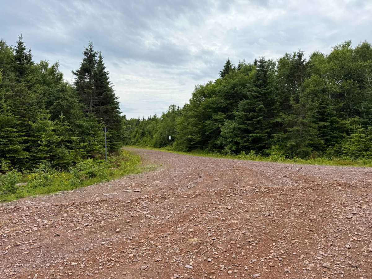 Trout River Trail photo 2
