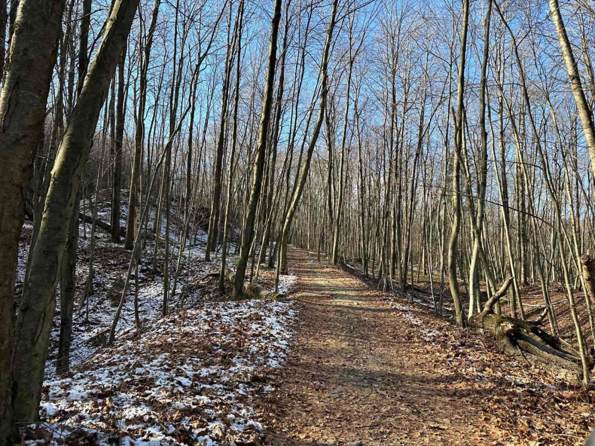 Locust Gap 72 photo 4