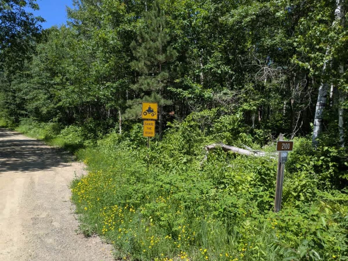 FS 2100 trail photo
