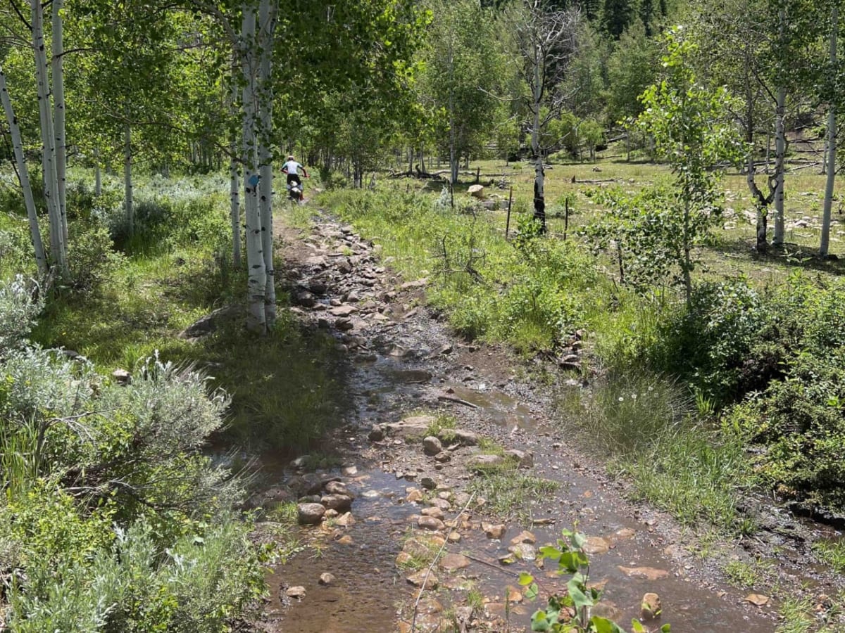 Little South Fork Trail photo 2