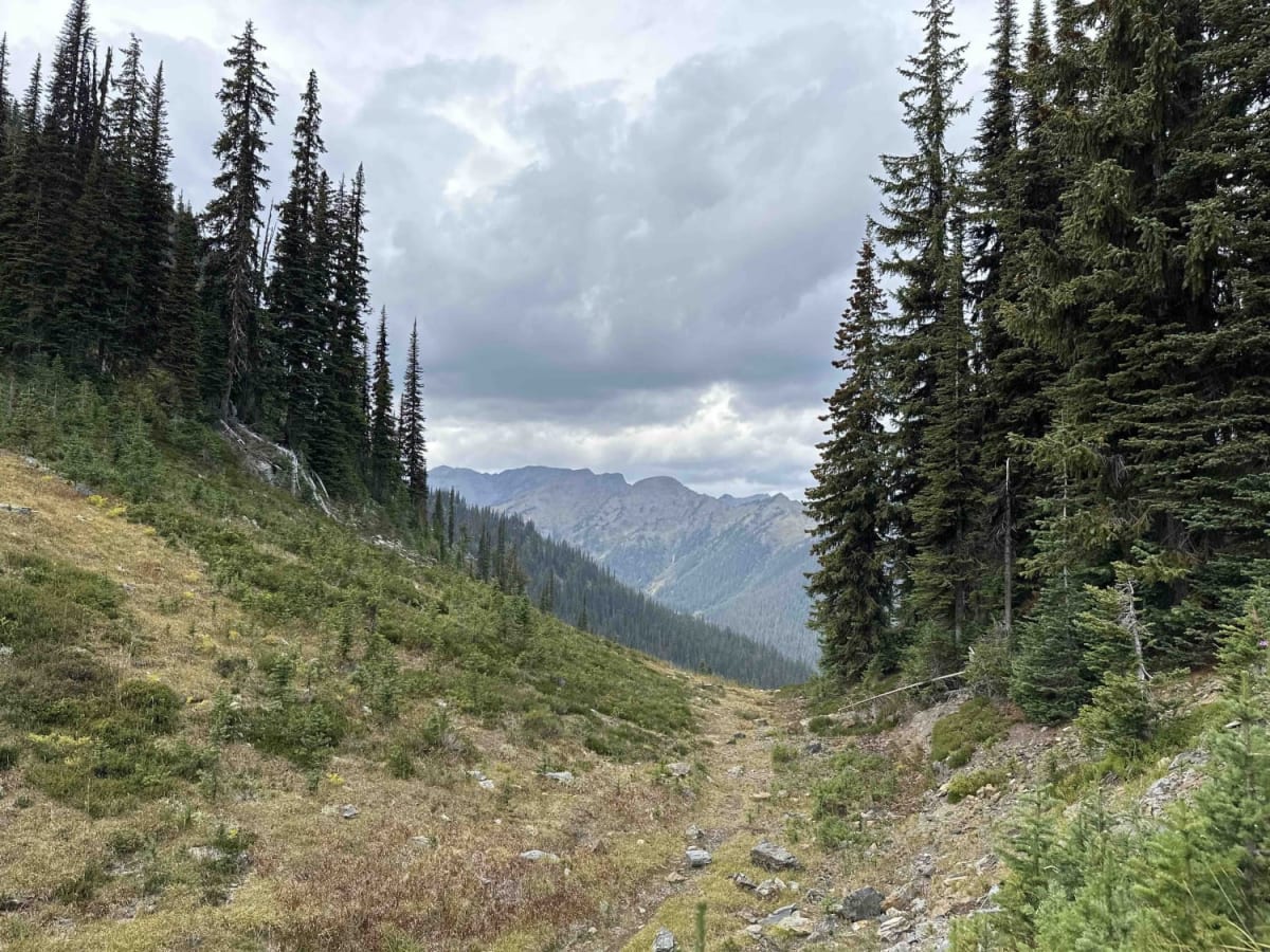Meadow Mountain photo 4