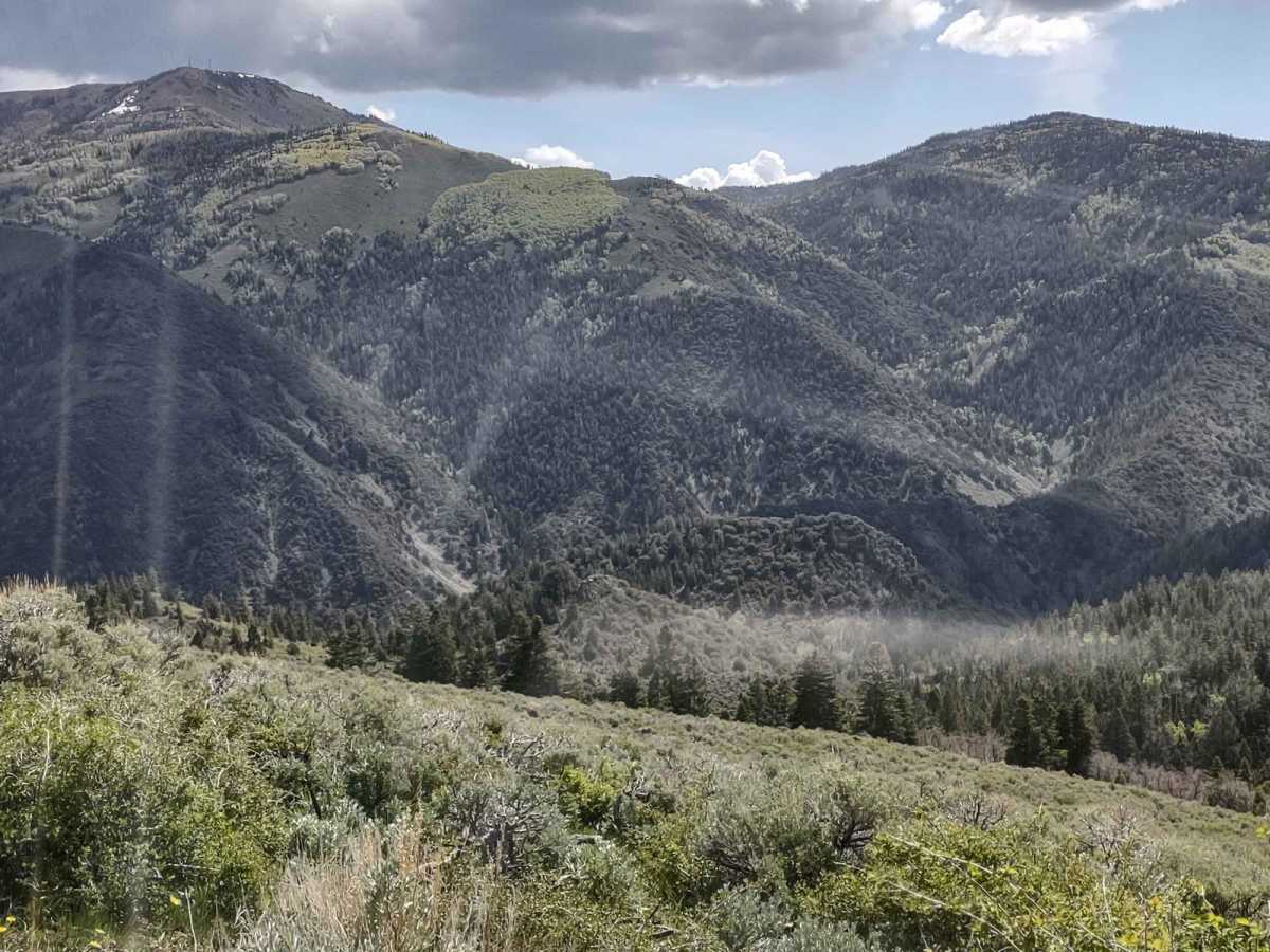 FS #41185 Extension (50" Trail) trail photo