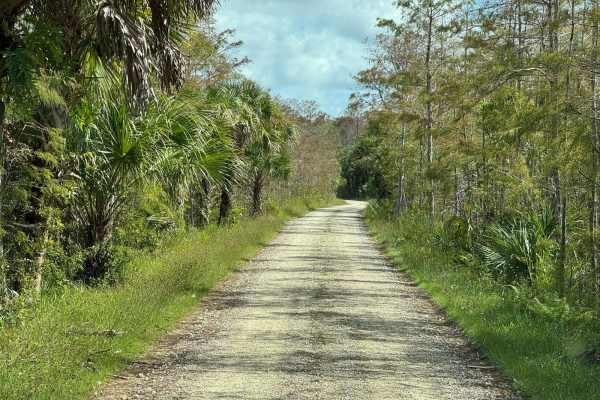 Bear Island Road