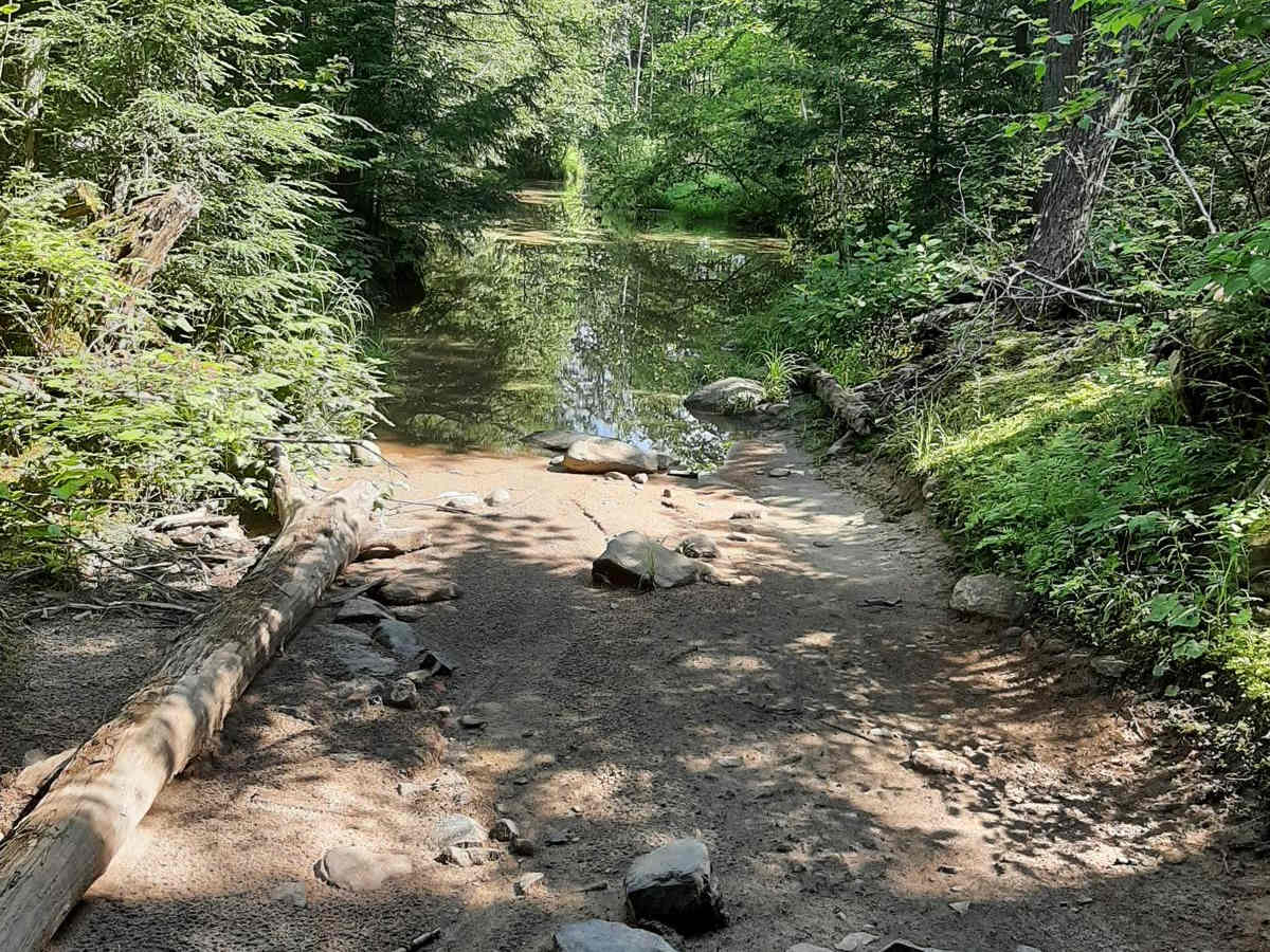 Concession Lake photo 6