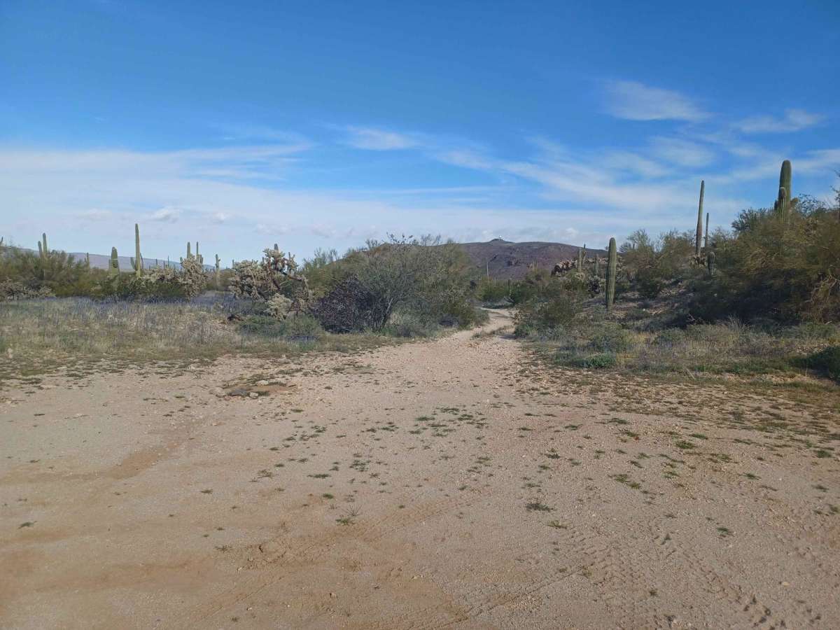 Hidden Camp photo 6