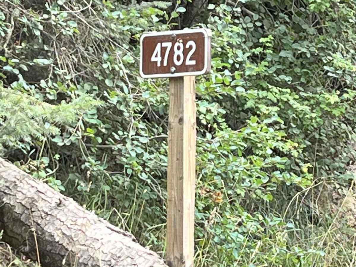 Road 4782 trail photo