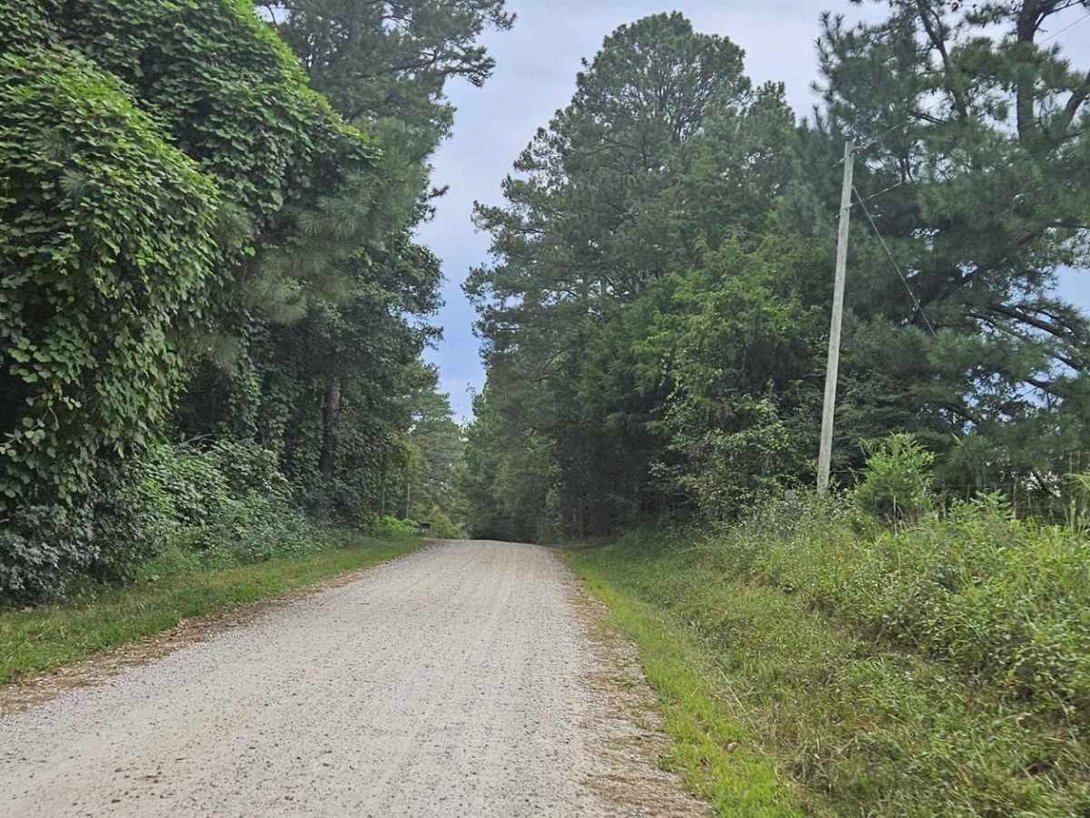 Cold Springs Road - FS 1245 photo 3