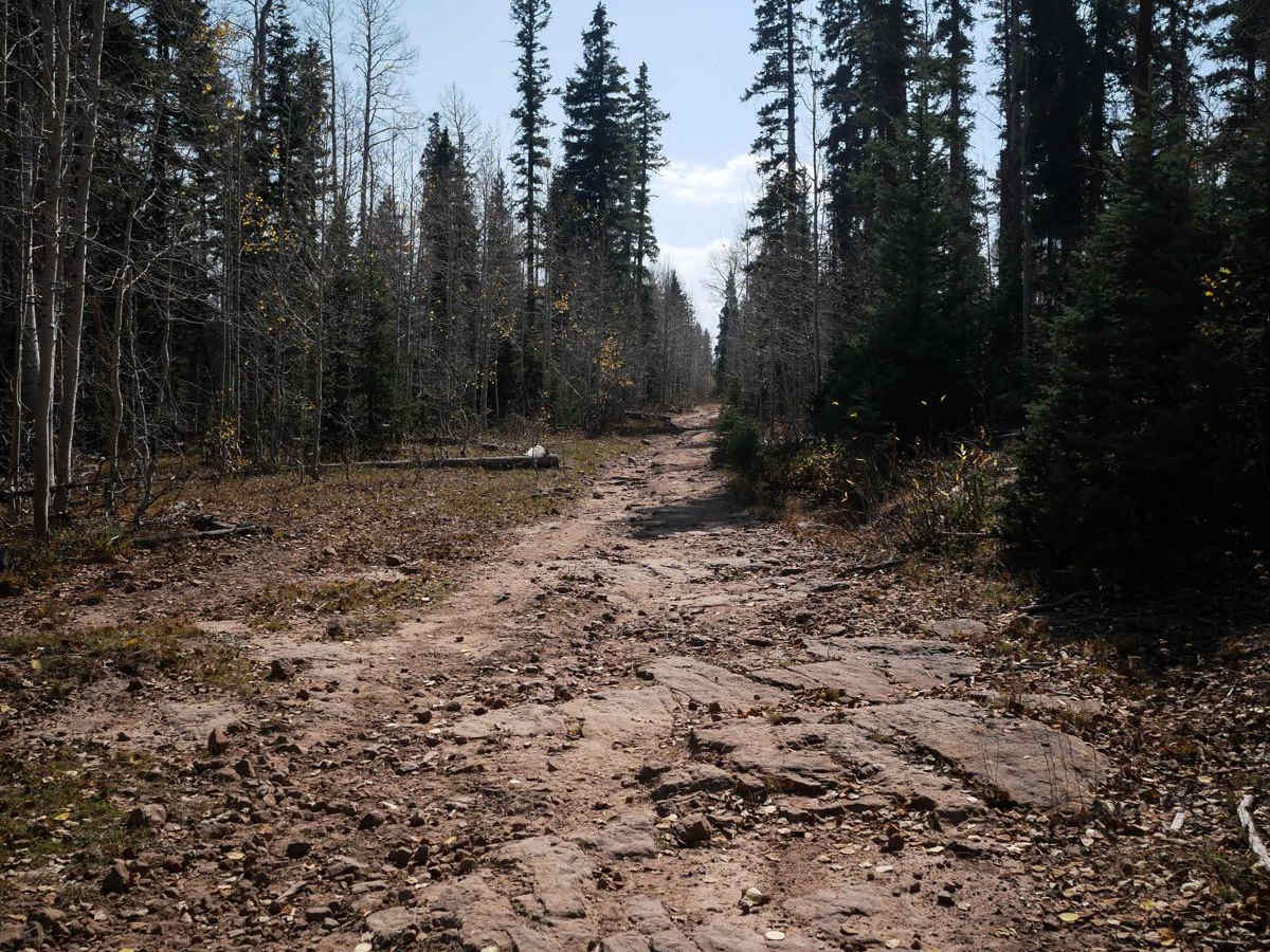 Rim ATV Trail photo 5