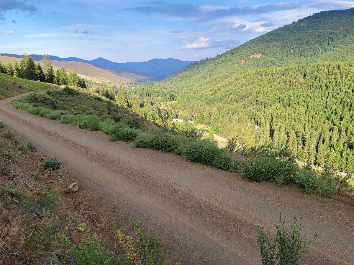 NF 4410 - Thompson Road photo 4