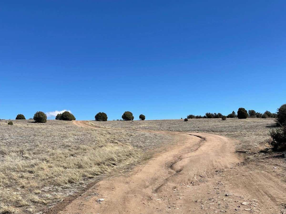 Dodging Junipers trail photo