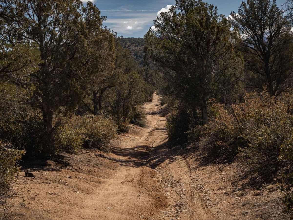 Strickland Wash photo 6