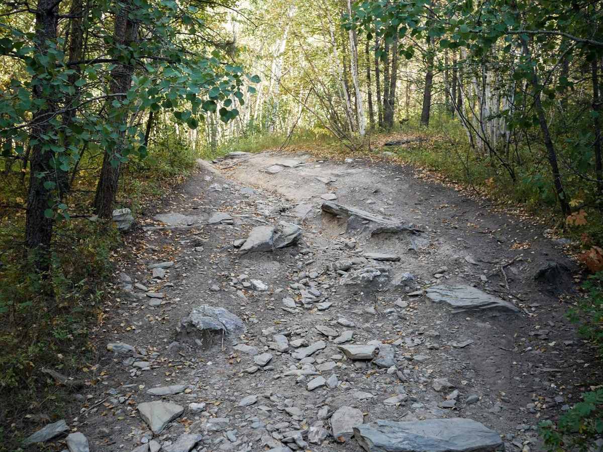 6333 trail photo