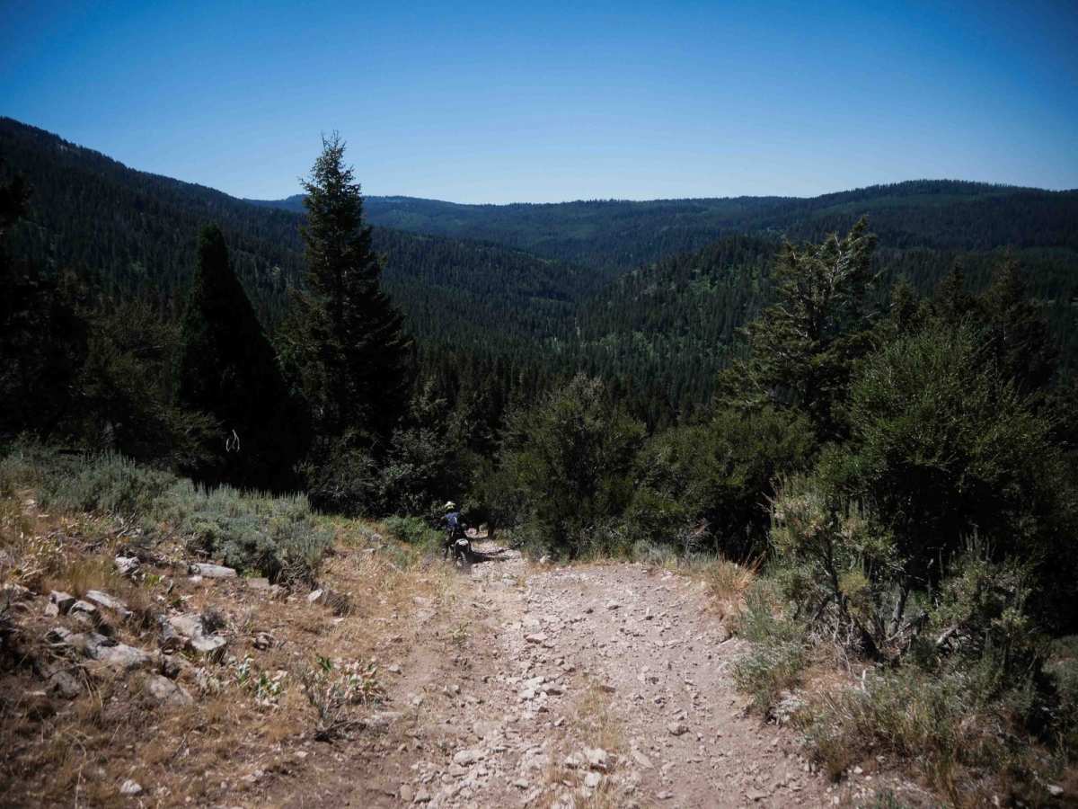 Steep Springs #3450  photo 5