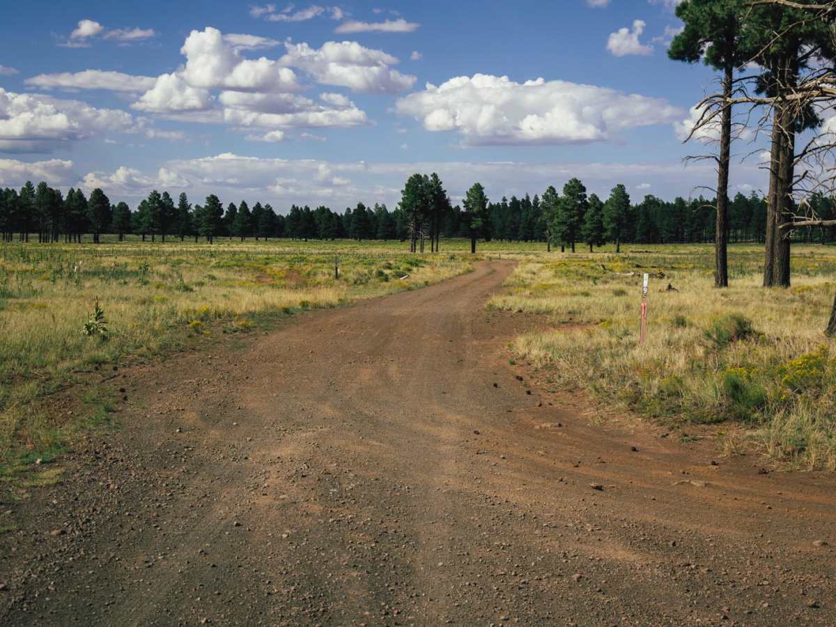 FS549 trail photo
