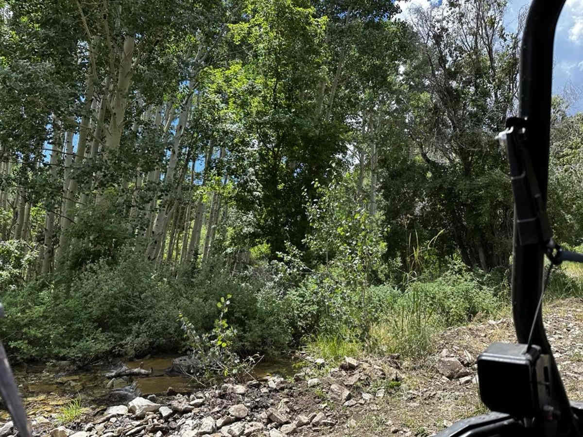 Trail 55255 to 55258 photo 5