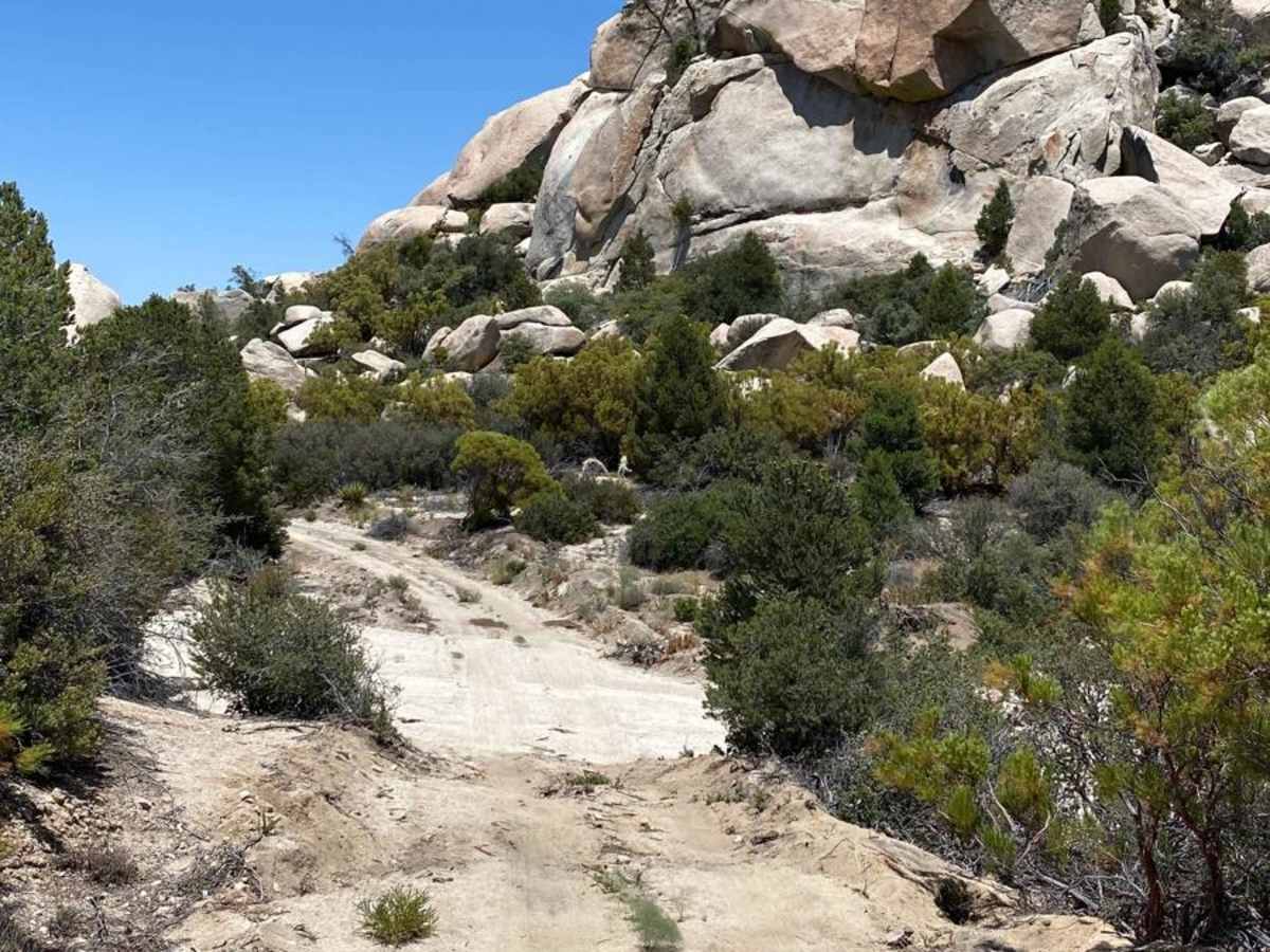 Rancho San Luis Road trail photo