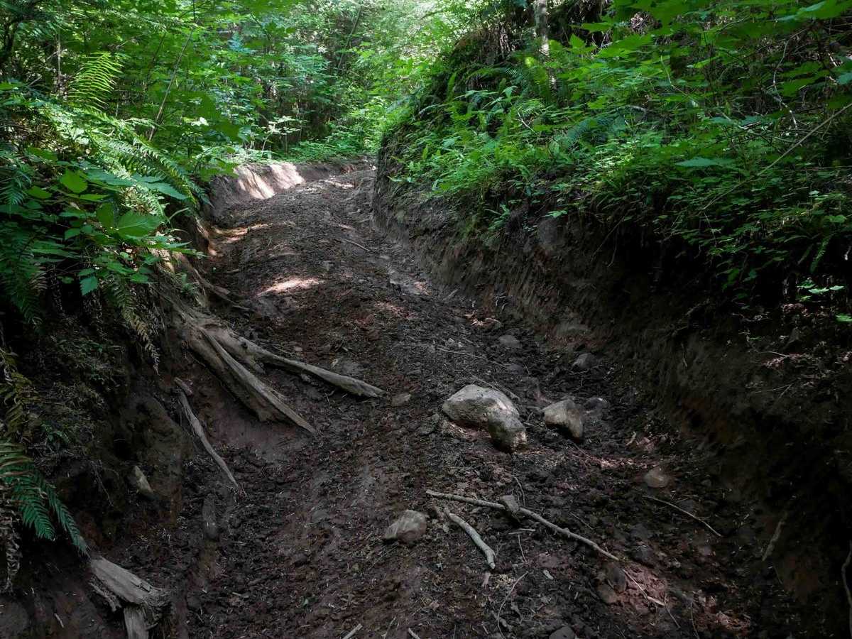 Dirt Dorks trail photo
