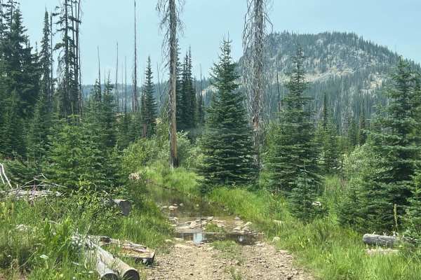 Cottontail Point Road