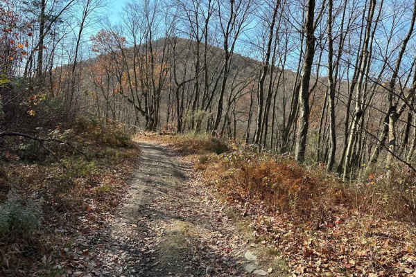 Ashland 155