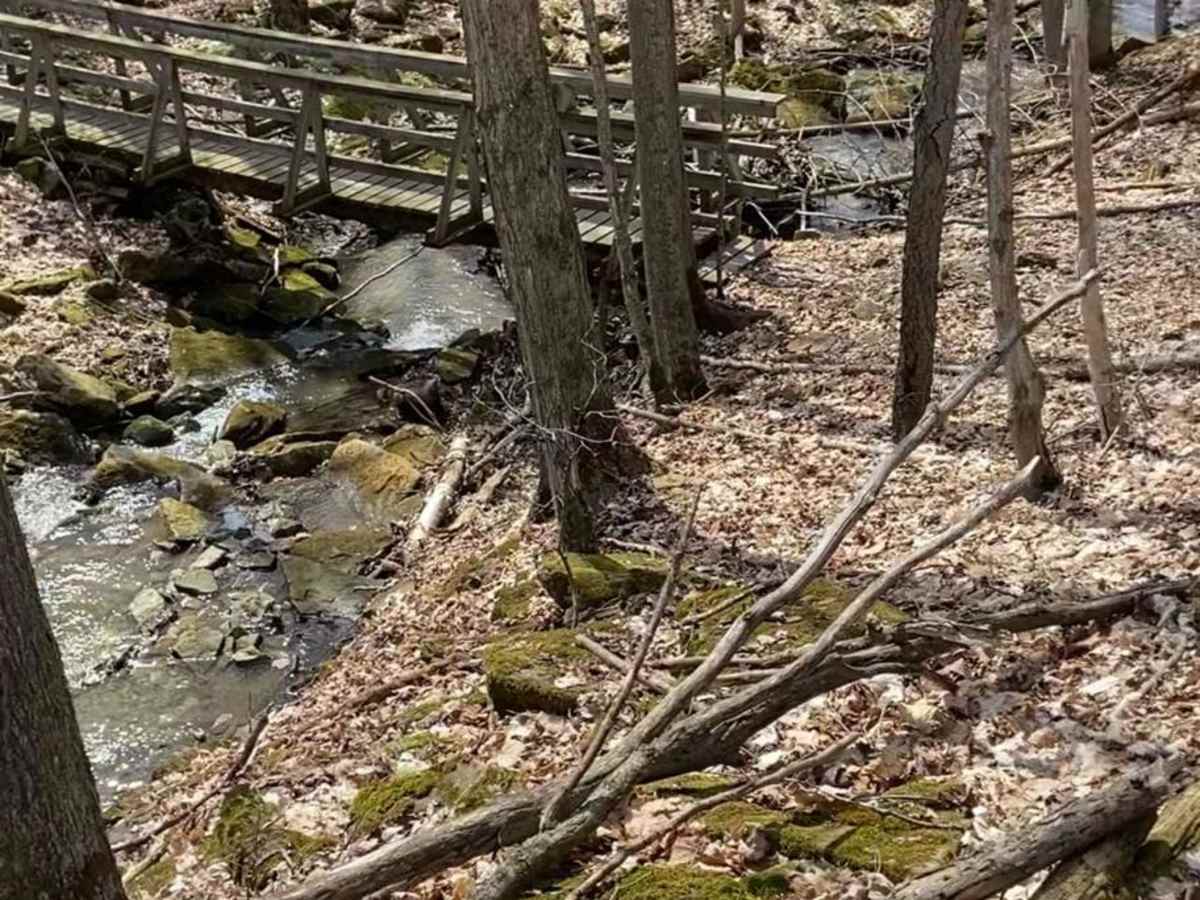 Black Edge Waterfall photo 4