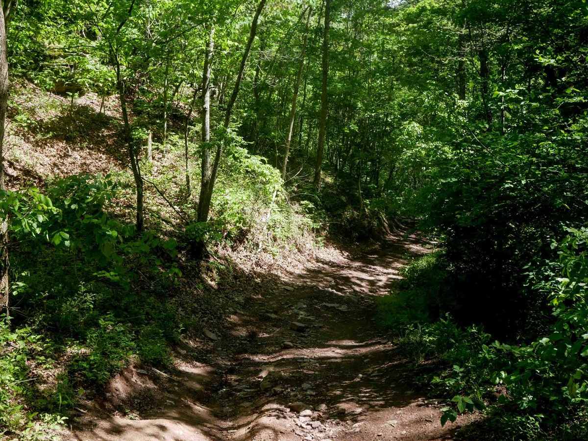 Trail 26 Razor Bypass photo 4