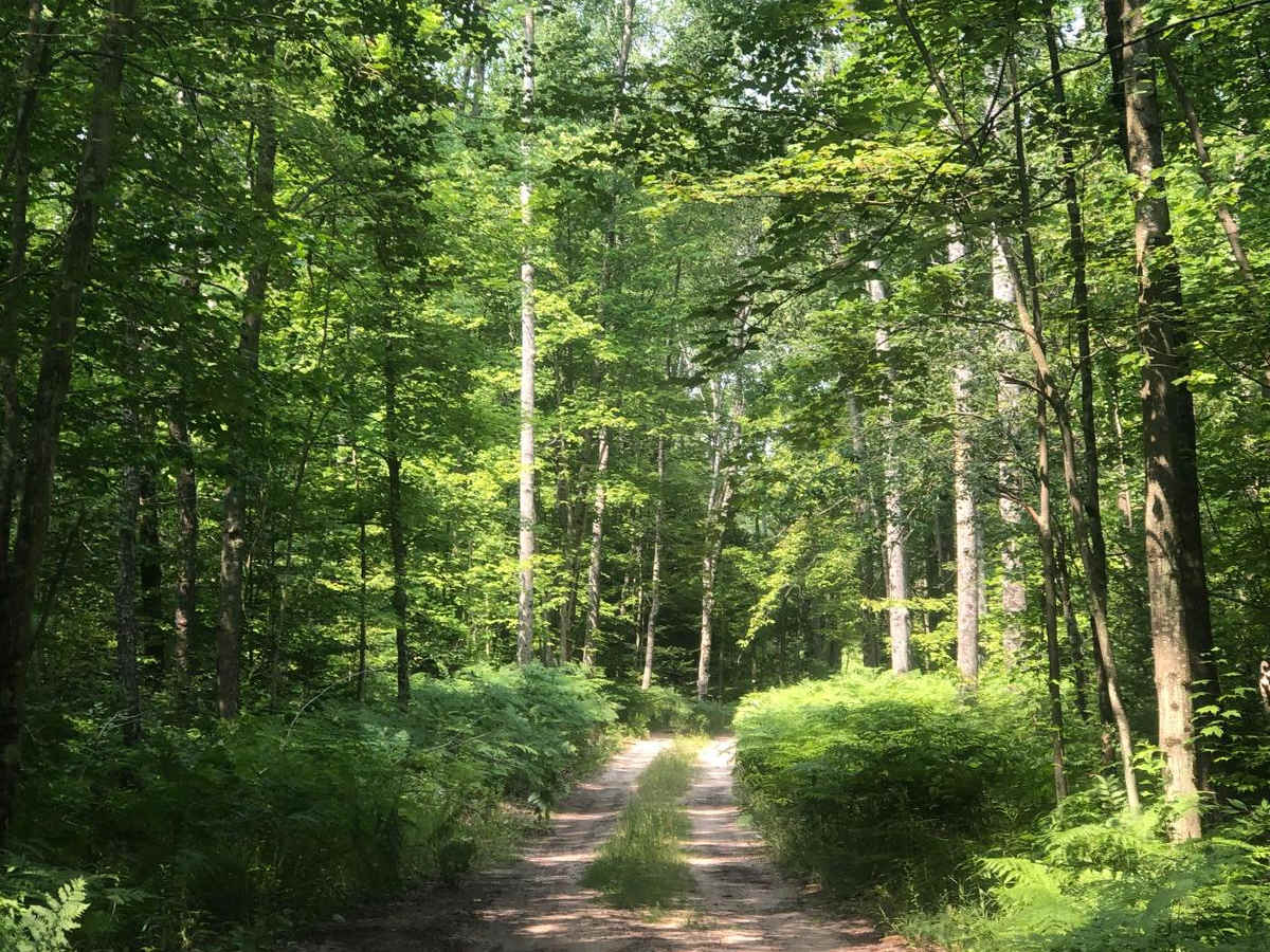 Wallin Road Part 4 photo 3