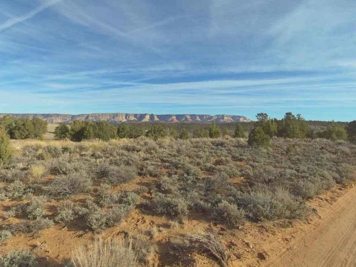 Twin Hollow BLM 98 photo 5