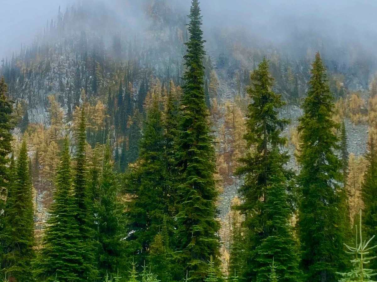 Gray Creek Pass photo 4