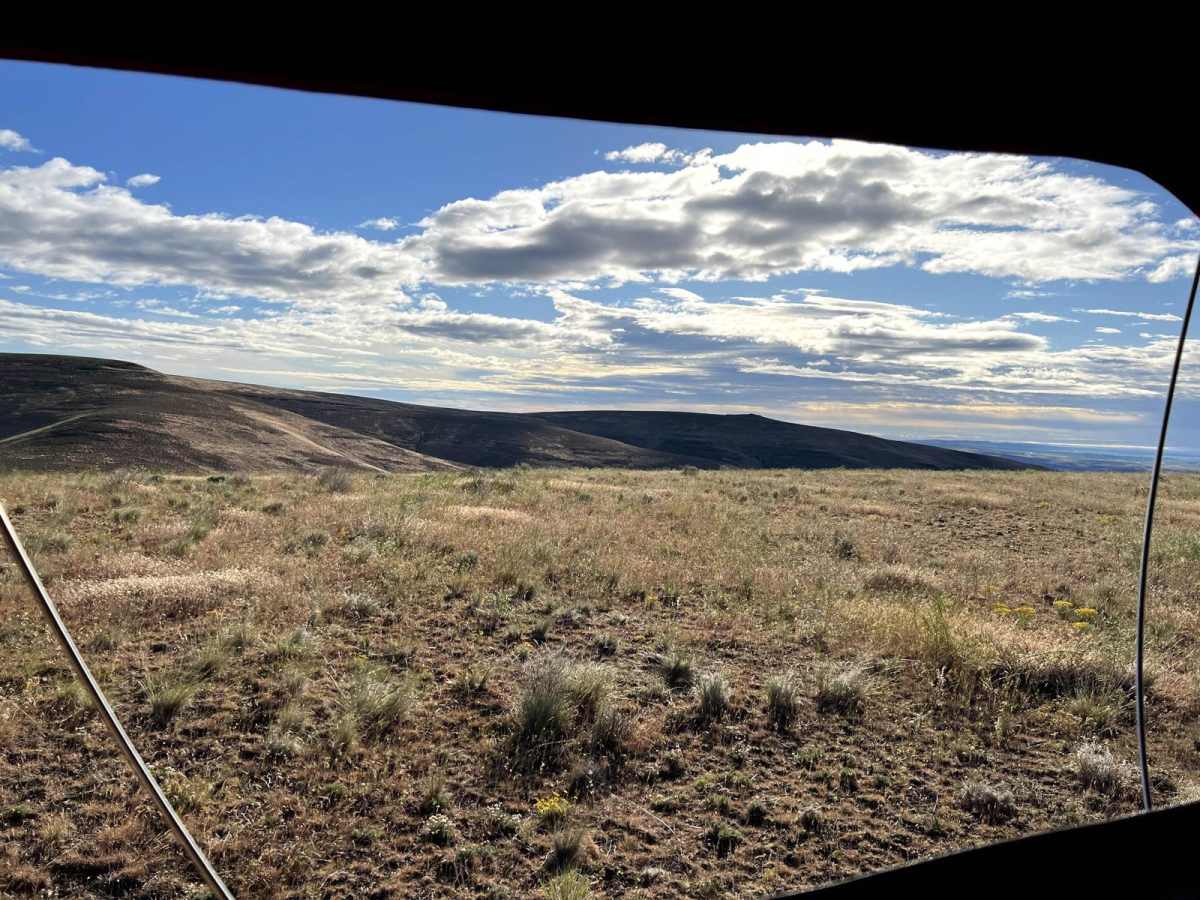 Homestead Trail photo 2
