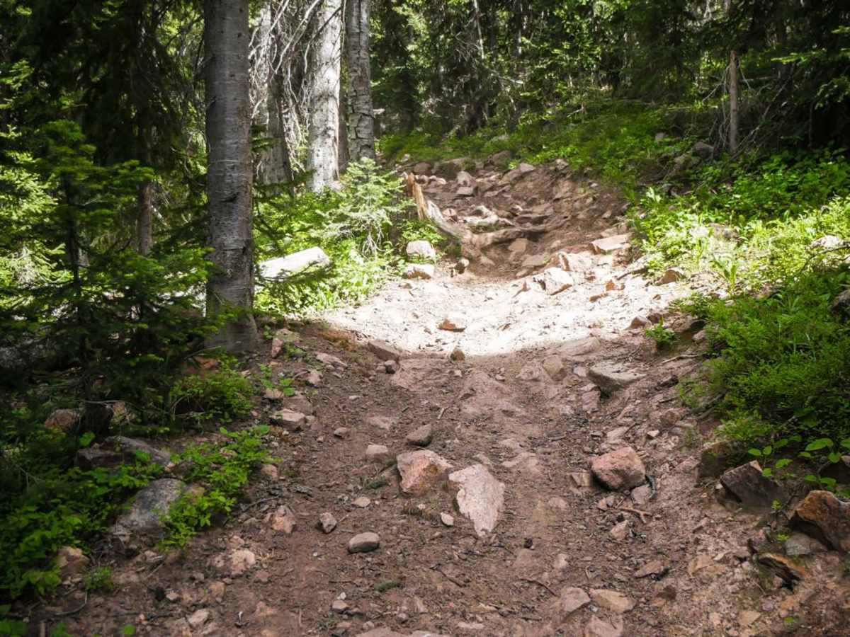 Farwell Mountain photo 6