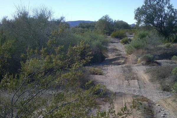 Road 8230