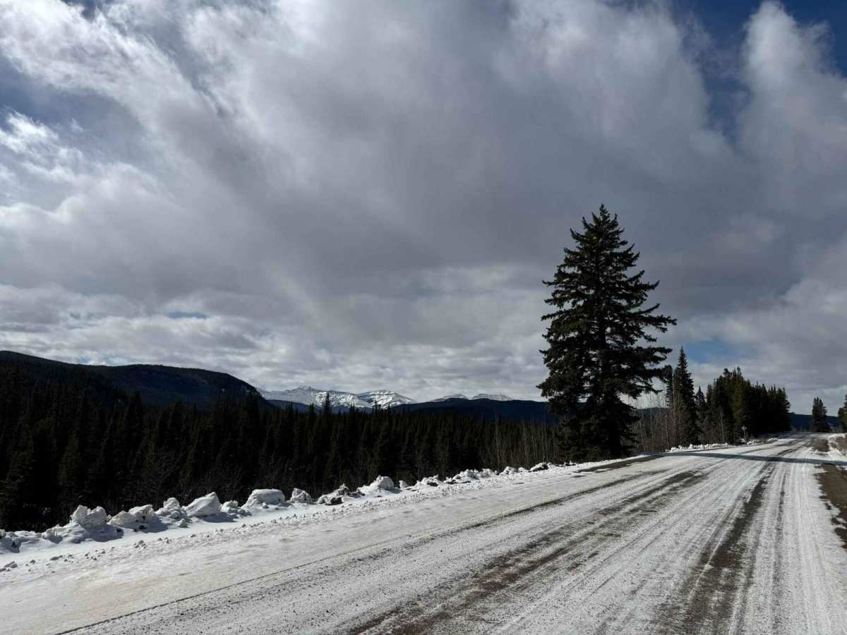 North-Central Forestry Trunk Road photo 4