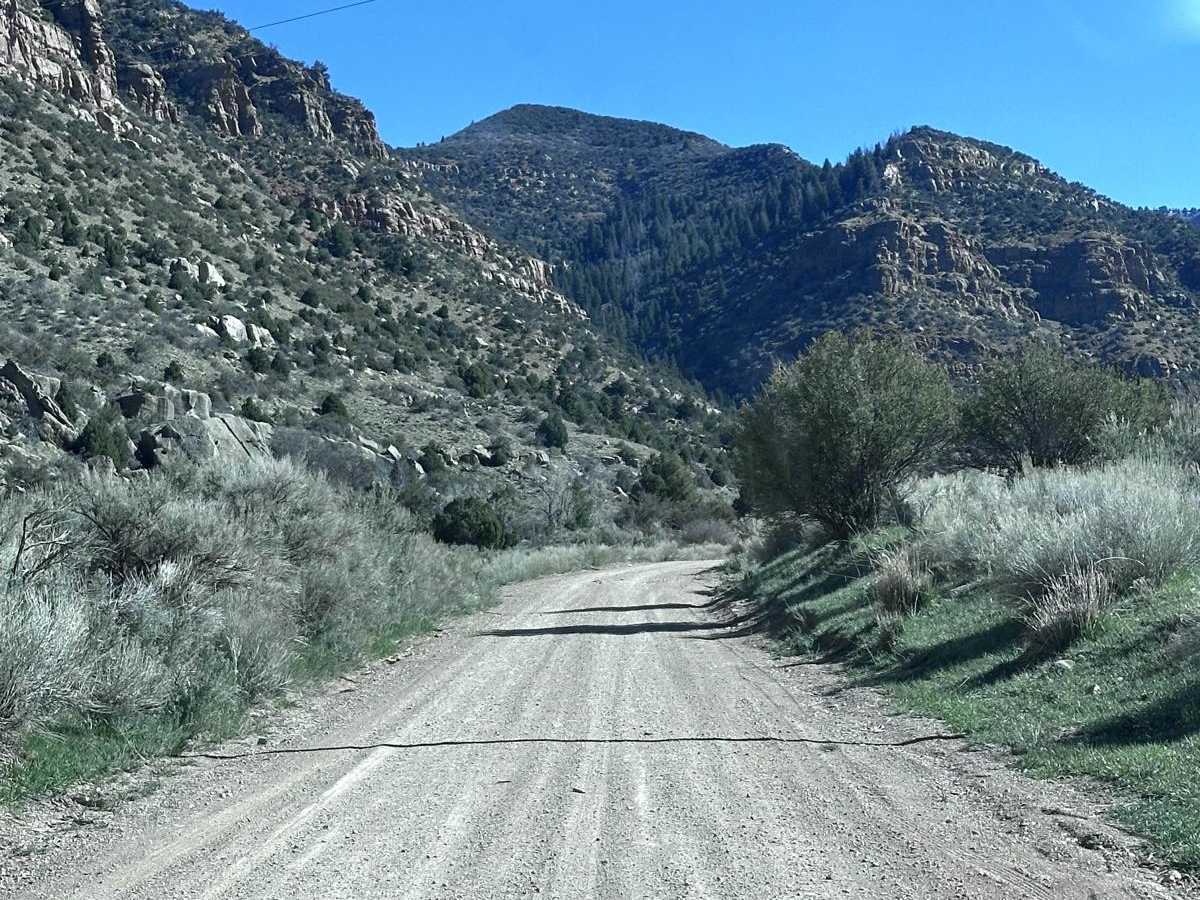 Bruin Point trail photo