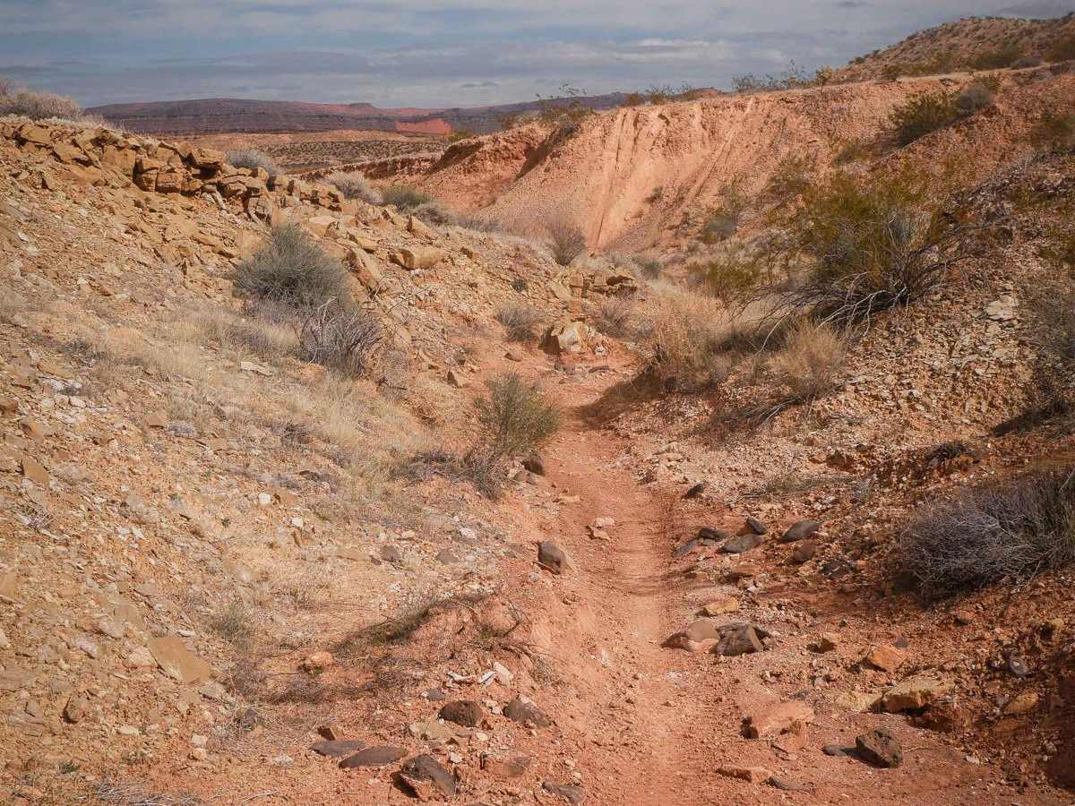 White Rocks Single Track photo 3