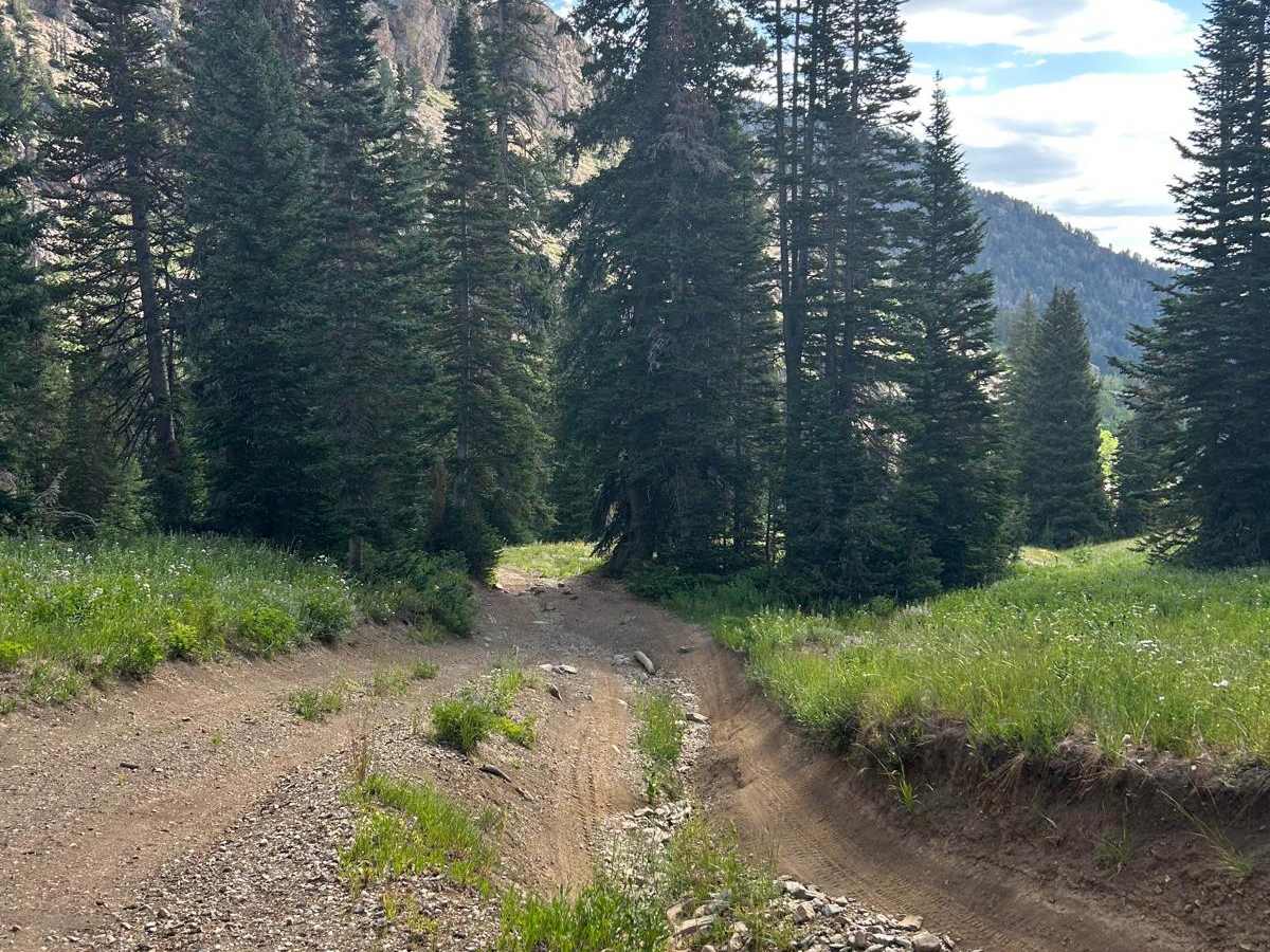 Mineral Basin Trail photo 6