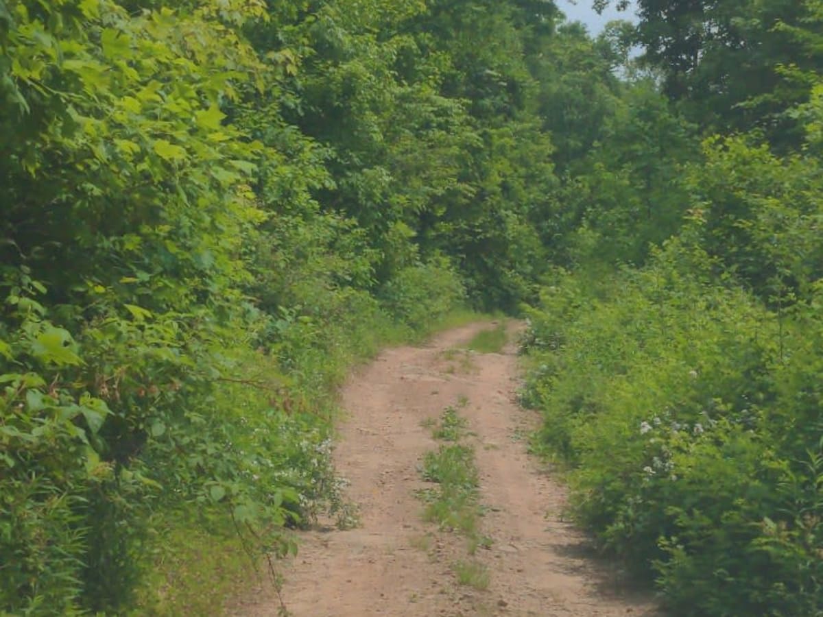 Senneth Cemetery Rd photo 4