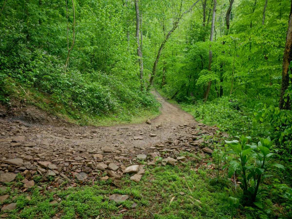 RH 84 trail photo