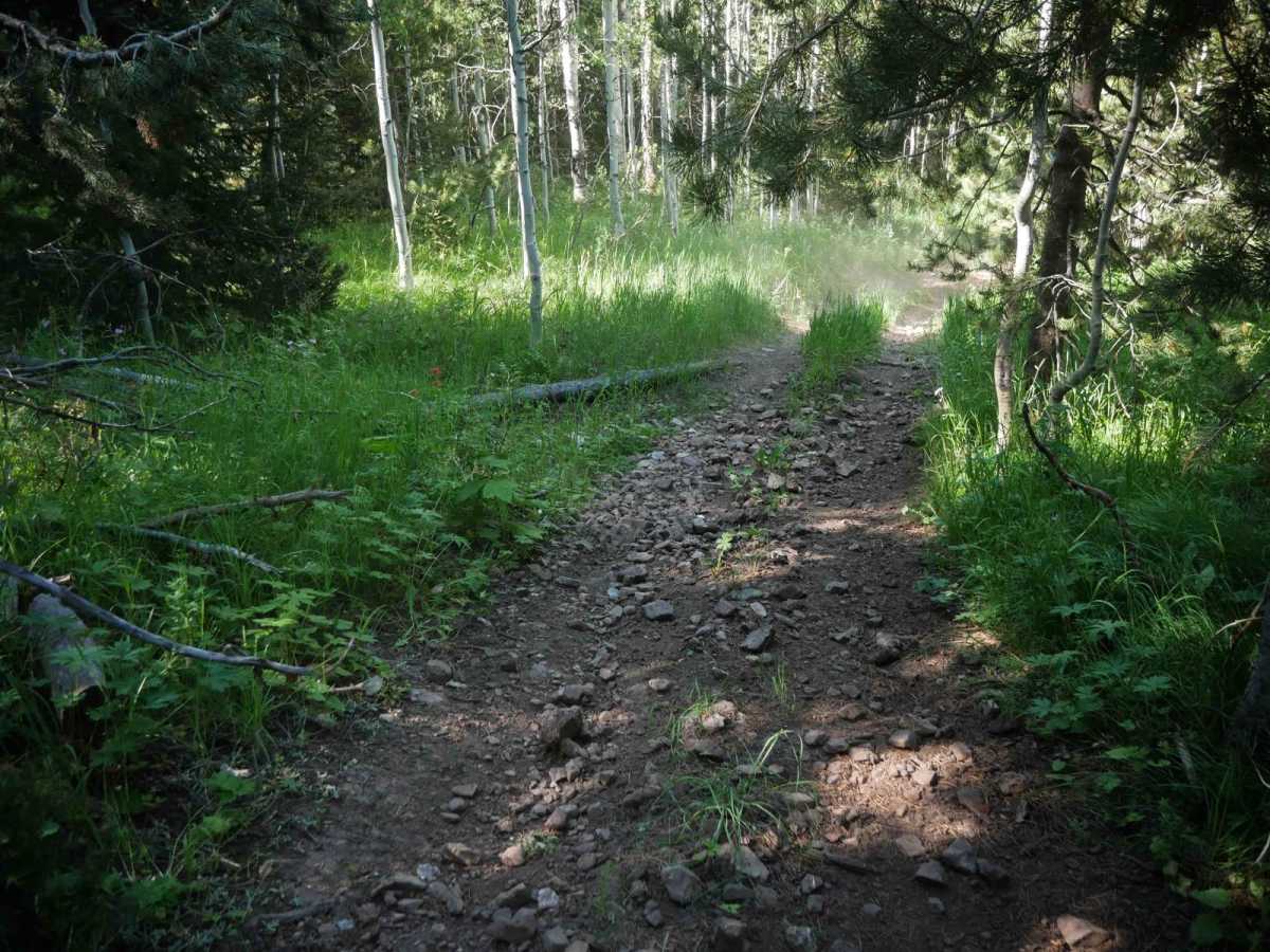 Horseshoe to Harrington #5212  photo 3