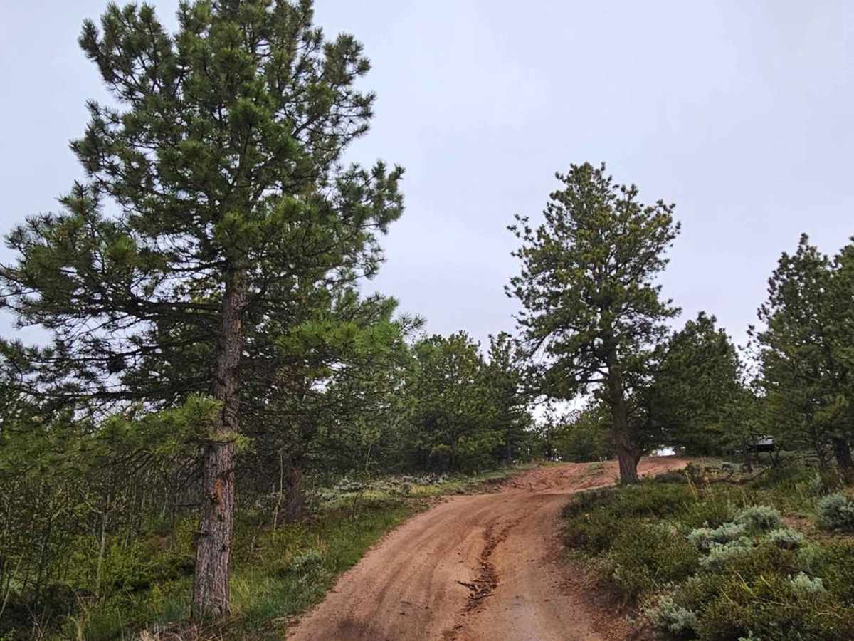 Buford Trail photo 4