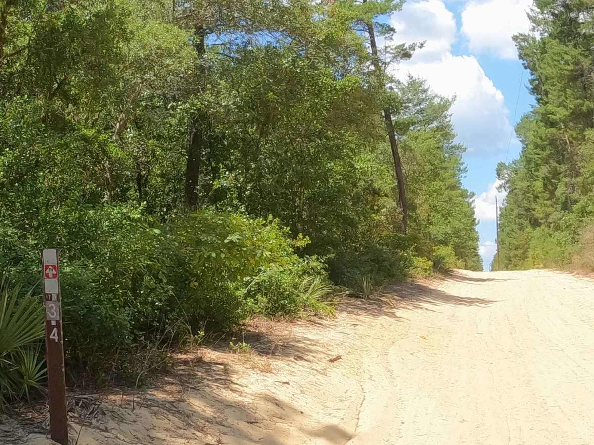 Hog Valley Trail trail photo