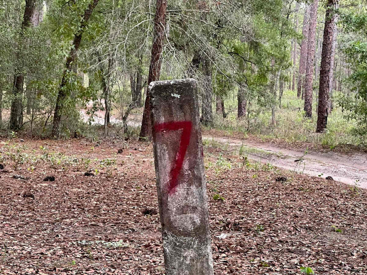 Crooms Wildlife Management | Trail 7 trail photo