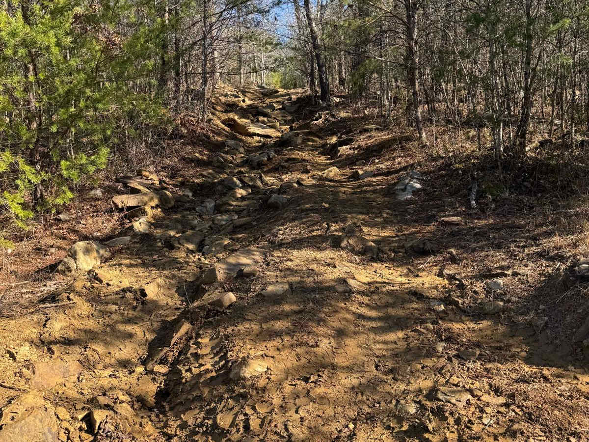 #52 Chicken Trail photo 4