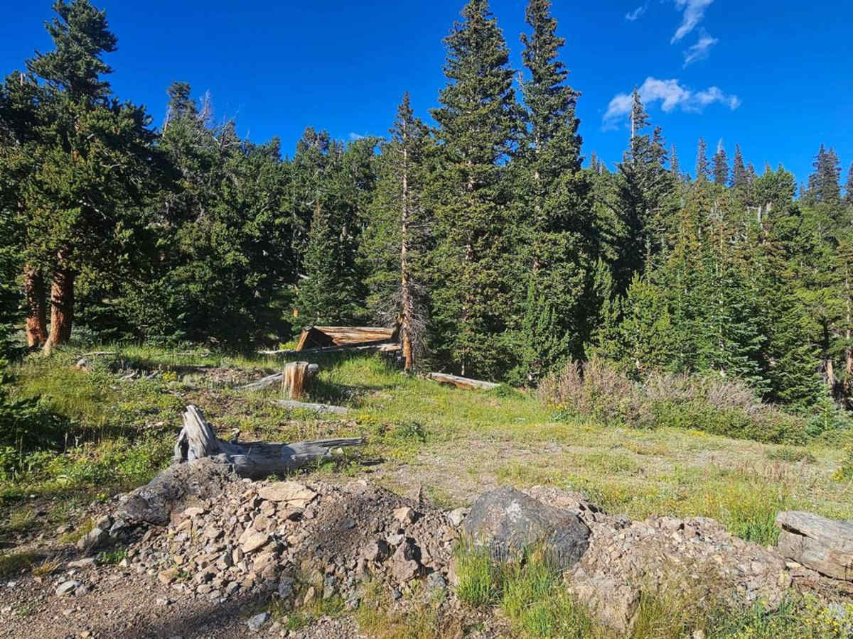 Dolly Varden Road (Windy Ridge) photo 5