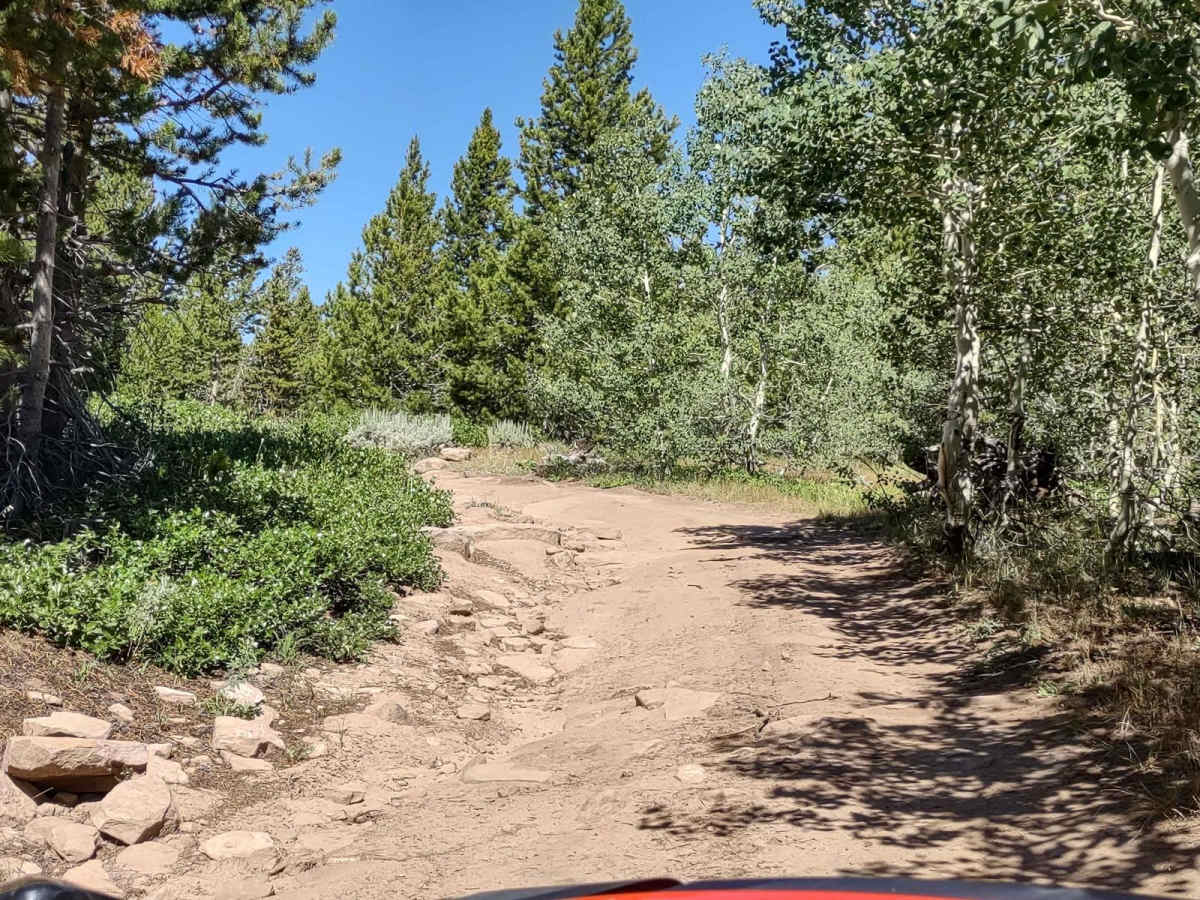 Beaver Creek 4WD (FS 366) photo 2