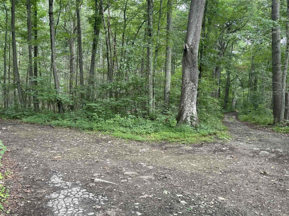 Tower Hill Road to Spruce Ledge Road photo 5