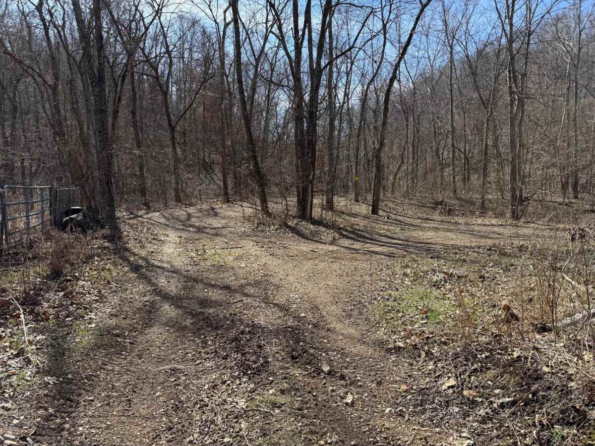 Green 376 trail photo