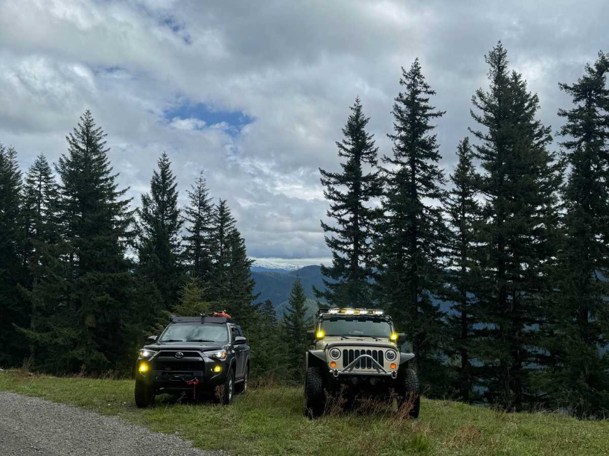 Doe Creek Forest Road photo 3