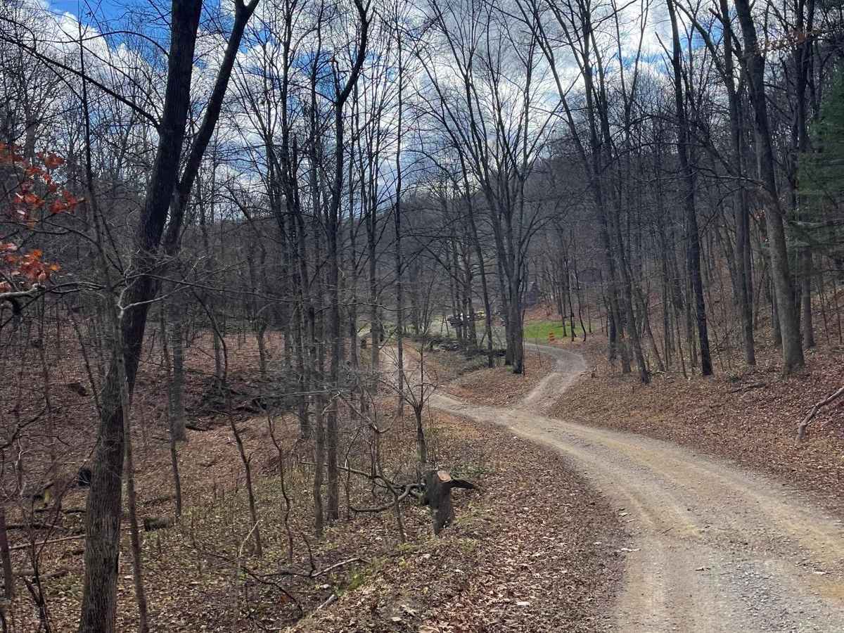Jug Run to Girl Scout Camp photo 4