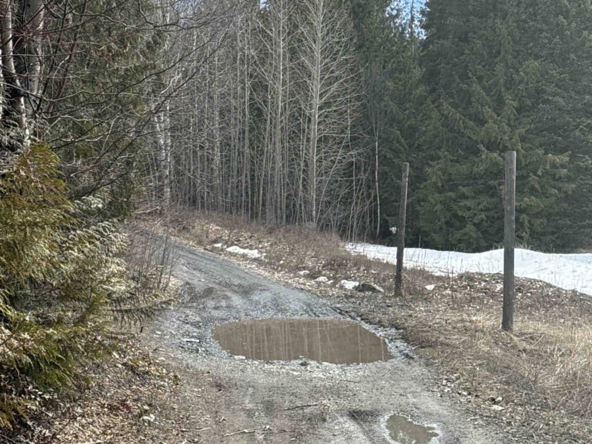 Spanish Lake via Silvernails Road photo 4